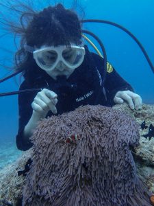 恩納村 ダイビングライセンス