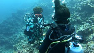 恩納村 ダイビングライセンス