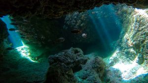 恩納村 ダイビングライセンス