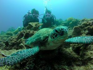 恩納村 ダイビングライセンス