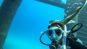 恩納村 ダイビングライセンス