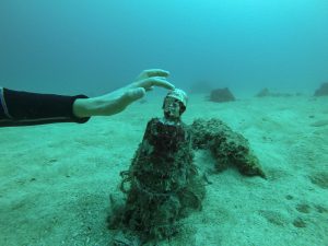 恩納村 ダイビングライセンス
