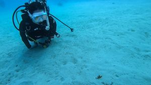 恩納村 ダイビングライセンス