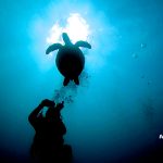 恩納村ファンダイビング、真栄田・山田で4ダイブ!!