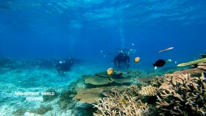 恩納村 ダイビングライセンス