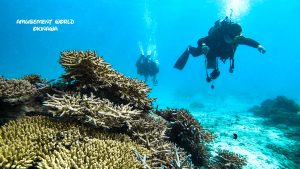 恩納村 ダイビングライセンス