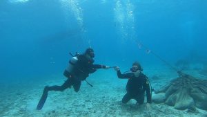 恩納村 ダイビングライセンス