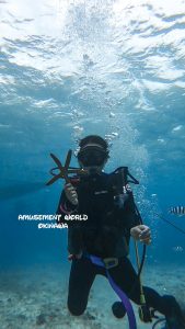 恩納村 ダイビングライセンス