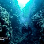 砂辺カリフォルニアサイドでダイビング!!