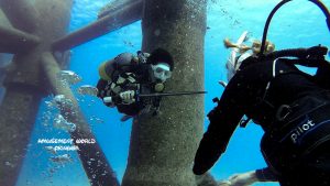 恩納村 ダイビングライセンス