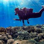 水納島 ファンダイビング コンディションは最高です!!