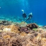 水納島ダイビングポイント 灯台下