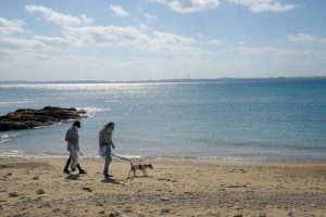 沖縄 ビーチクリーン