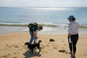 沖縄 ビーチクリーン