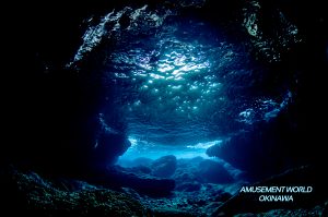 沖縄 ダイビング