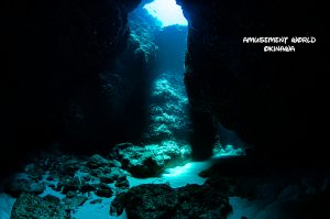 恩納村 ダイビングライセンス