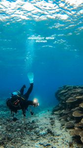 恩納村ダイビング 谷茶ポイント