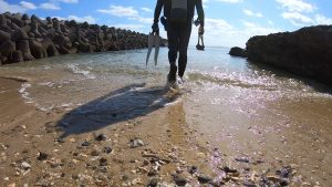 沖縄ビーチクリーン＆ダイビング水中クリーン　VLOG