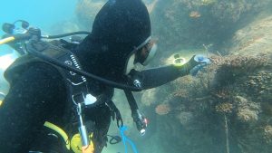 沖縄 ビーチクリーン