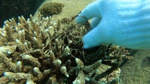 沖縄 ビーチクリーン