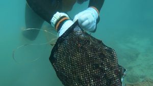 沖縄 ビーチクリーン