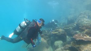 沖縄 ビーチクリーン