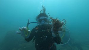 沖縄 ビーチクリーン