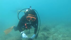 沖縄 ビーチクリーン