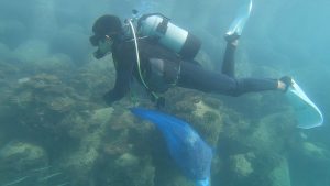 沖縄 ビーチクリーン