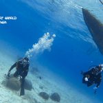 沖縄へお帰りなさい！お久しぶりの再会ダイビング！