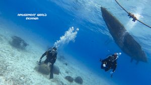 恩納村 ダイビングライセンス