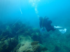 沖縄 ビーチクリーン