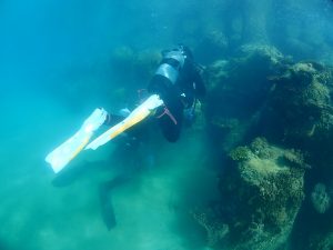 沖縄 ビーチクリーン