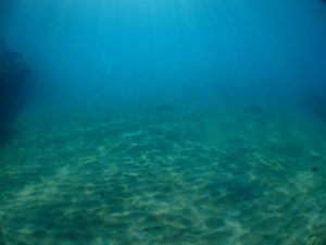 沖縄 ビーチクリーン