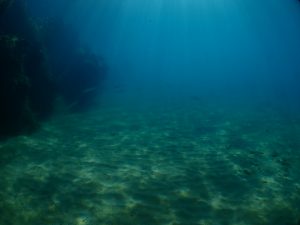 沖縄 ビーチクリーン