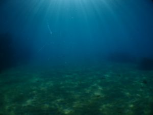 沖縄 ビーチクリーン