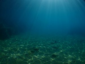 沖縄 ビーチクリーン