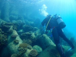 沖縄 ビーチクリーン