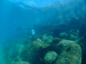 沖縄 ビーチクリーン