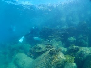 沖縄 ビーチクリーン