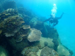 沖縄 ビーチクリーン