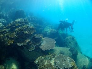 沖縄 ビーチクリーン