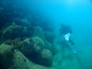 沖縄 ビーチクリーン