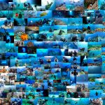 今年も1年お世話になりました。