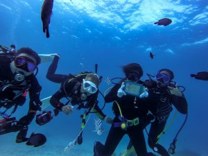 潜り始めは恩納村でダイビングライセンス講習!!