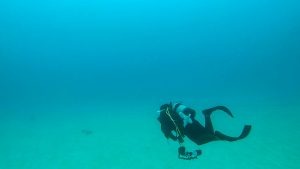 恩納村 ダイビングライセンス