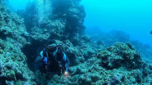 瀬底島 ラビリンス