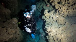 恩納村 ダイビングライセンス