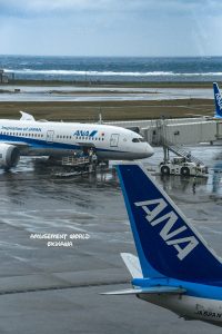 恩納村 ダイビングライセンス