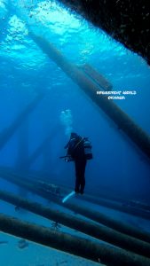 恩納村 ダイビングライセンス